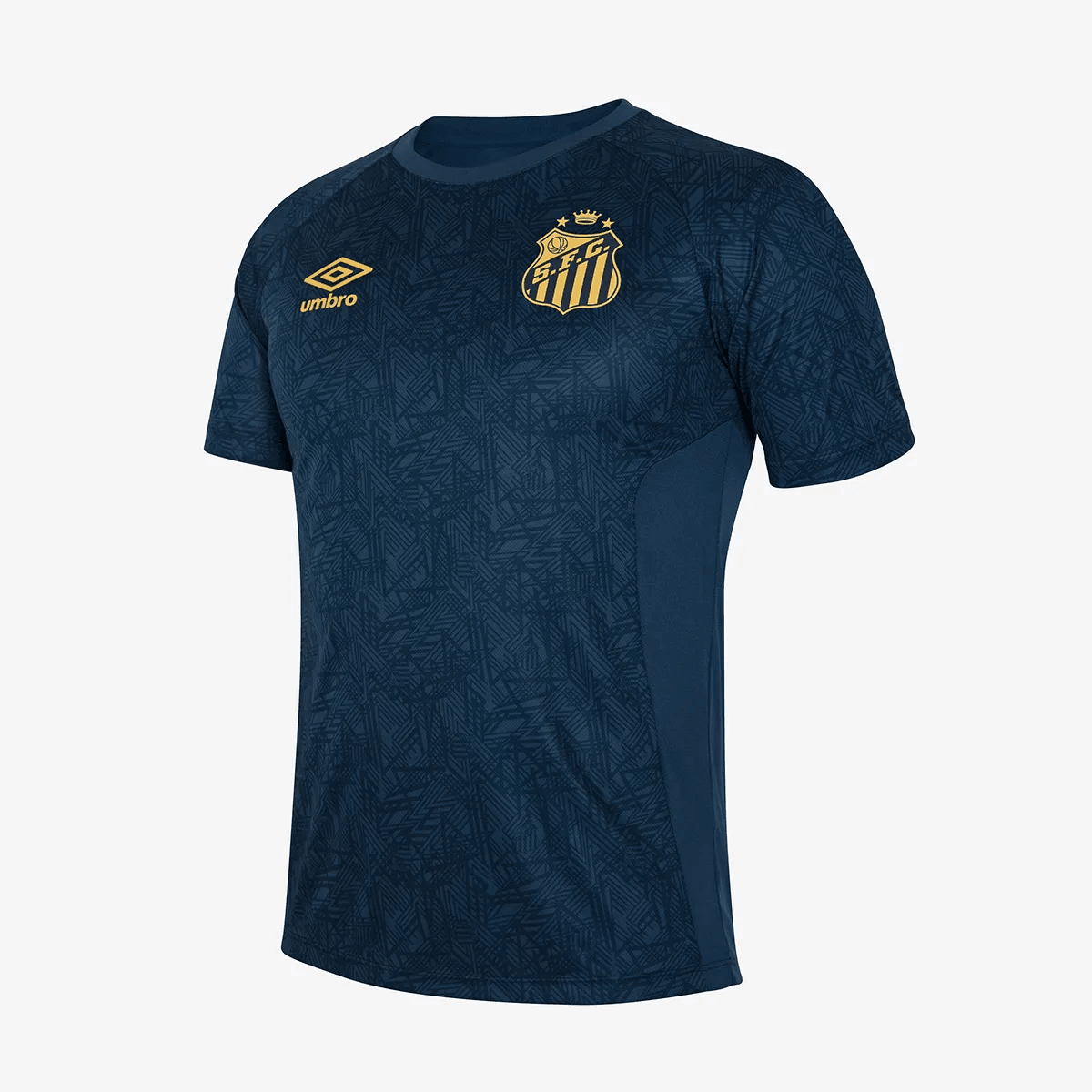 Camisa Masculina Umbro Santos || 2024 Treino