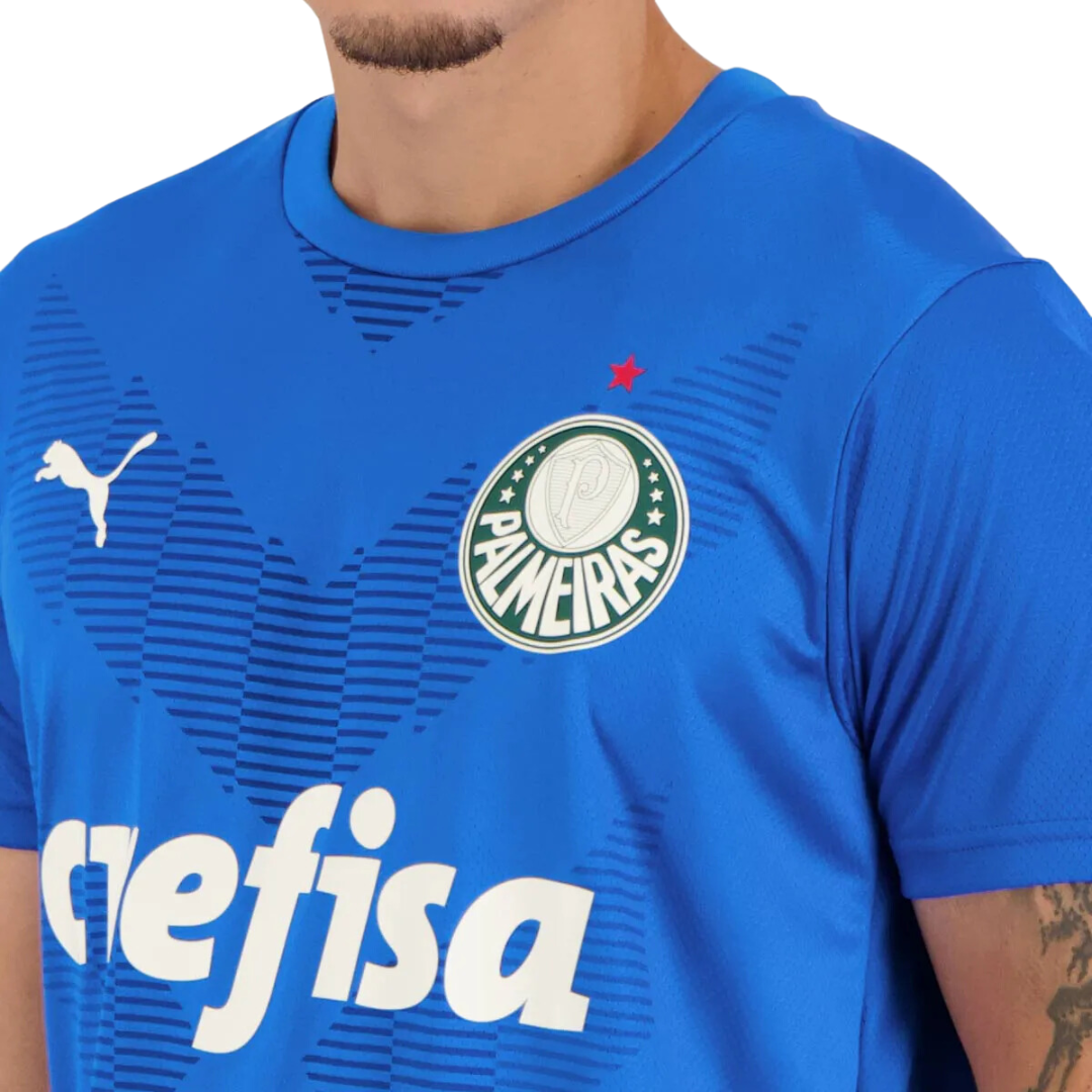 Camisa Palmeiras Puma Goleiro 23/24 Weverton - Uniforme Casa