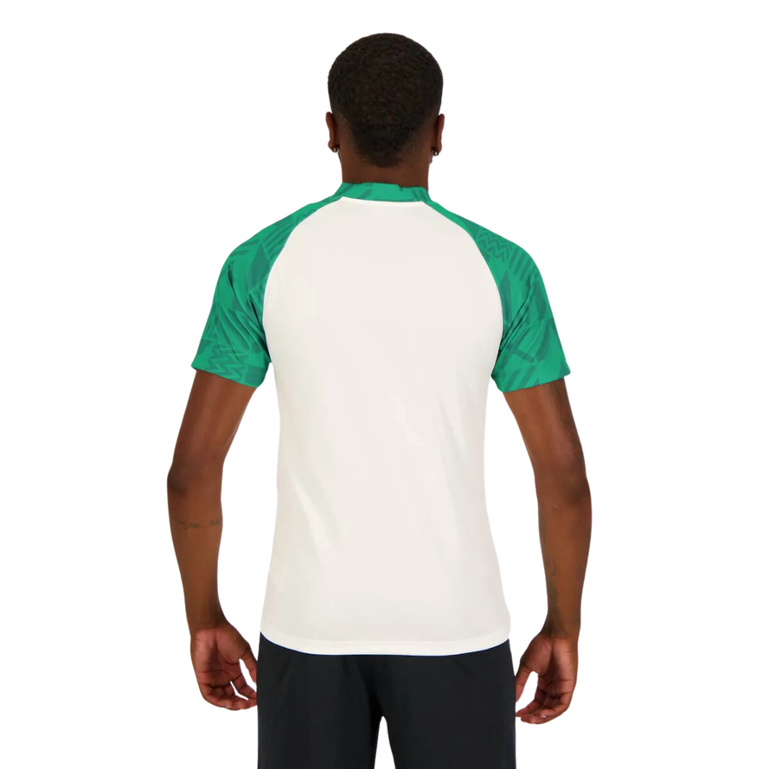 Camisa Palmeiras Puma 23/24 Pré Jogo