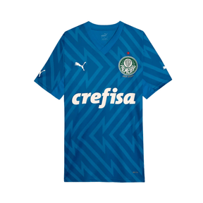 Camisa Palmeiras Puma Goleiro 24/25 - Uniforme Casa