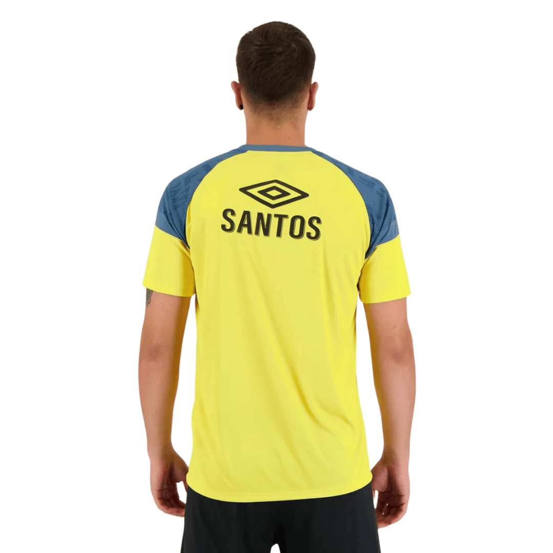 Camisa Masculino Umbro Santos 2024 Treino