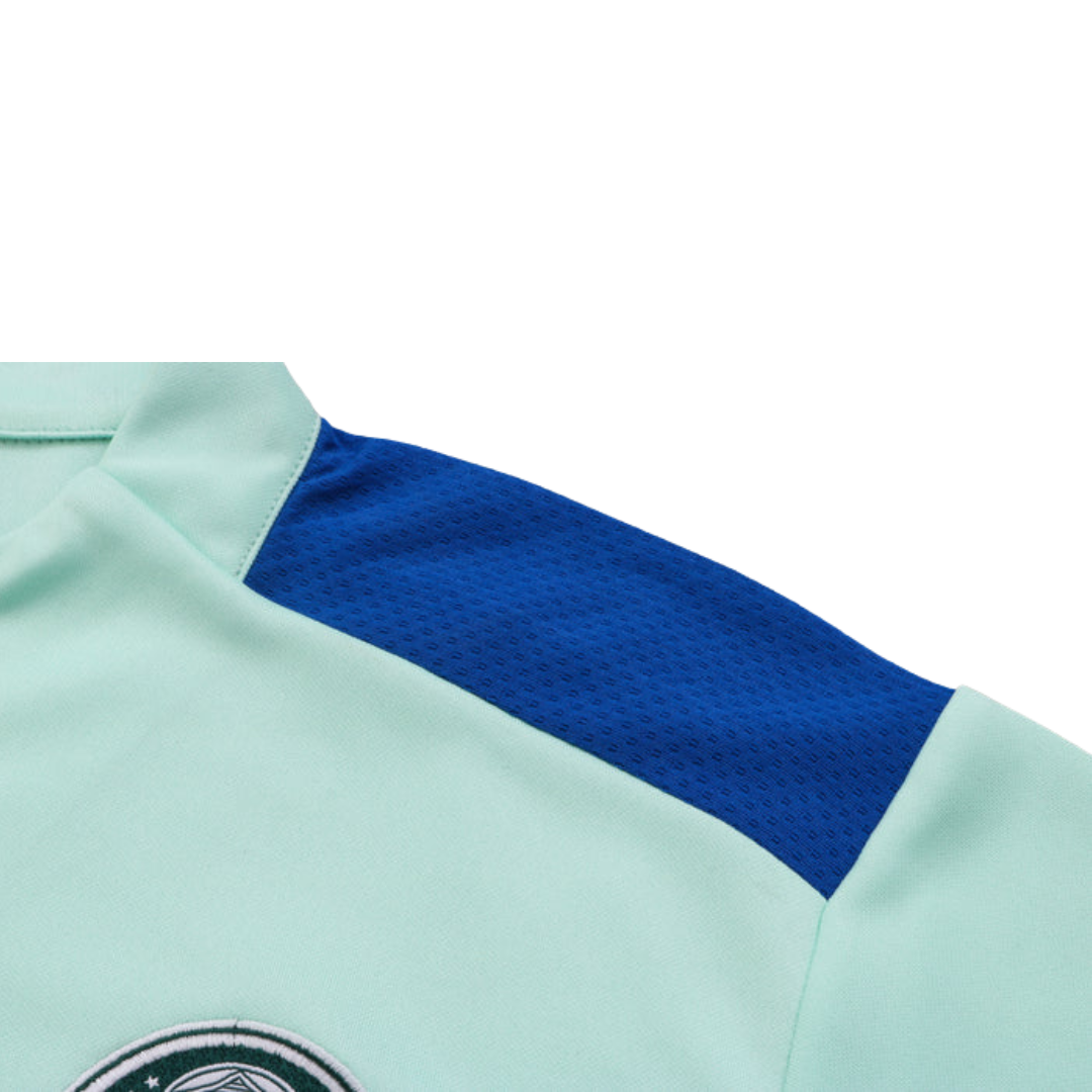 Conjunto Palmeiras Puma Zíper Curto Treino